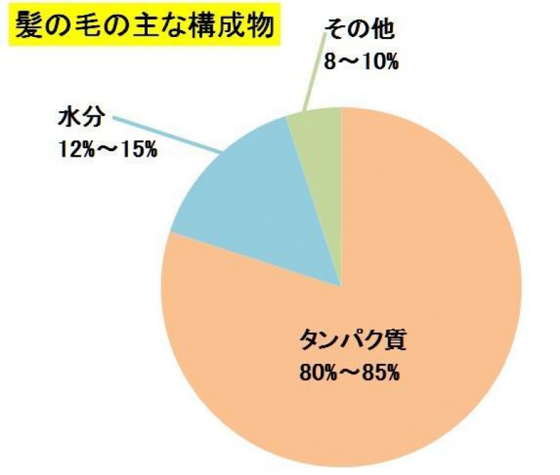 髪を美しくするためにまずすべきこと～入門編～